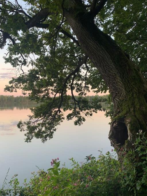 Prijemna Chaloupka Na Trebonsku Villa Chlum u Trebone Exterior foto