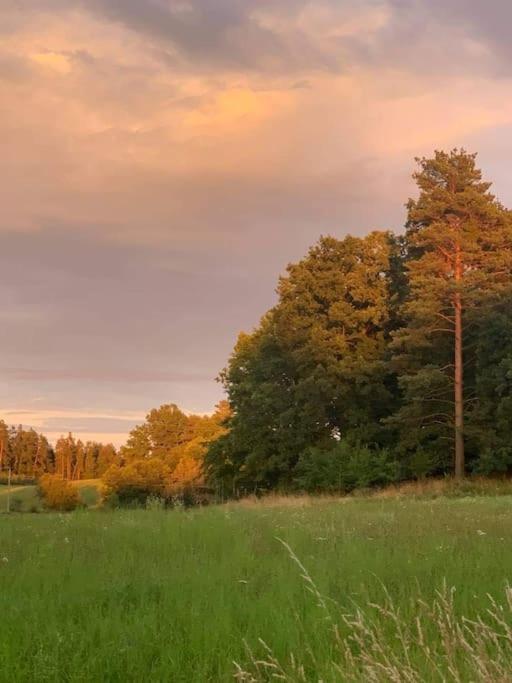 Prijemna Chaloupka Na Trebonsku Villa Chlum u Trebone Exterior foto