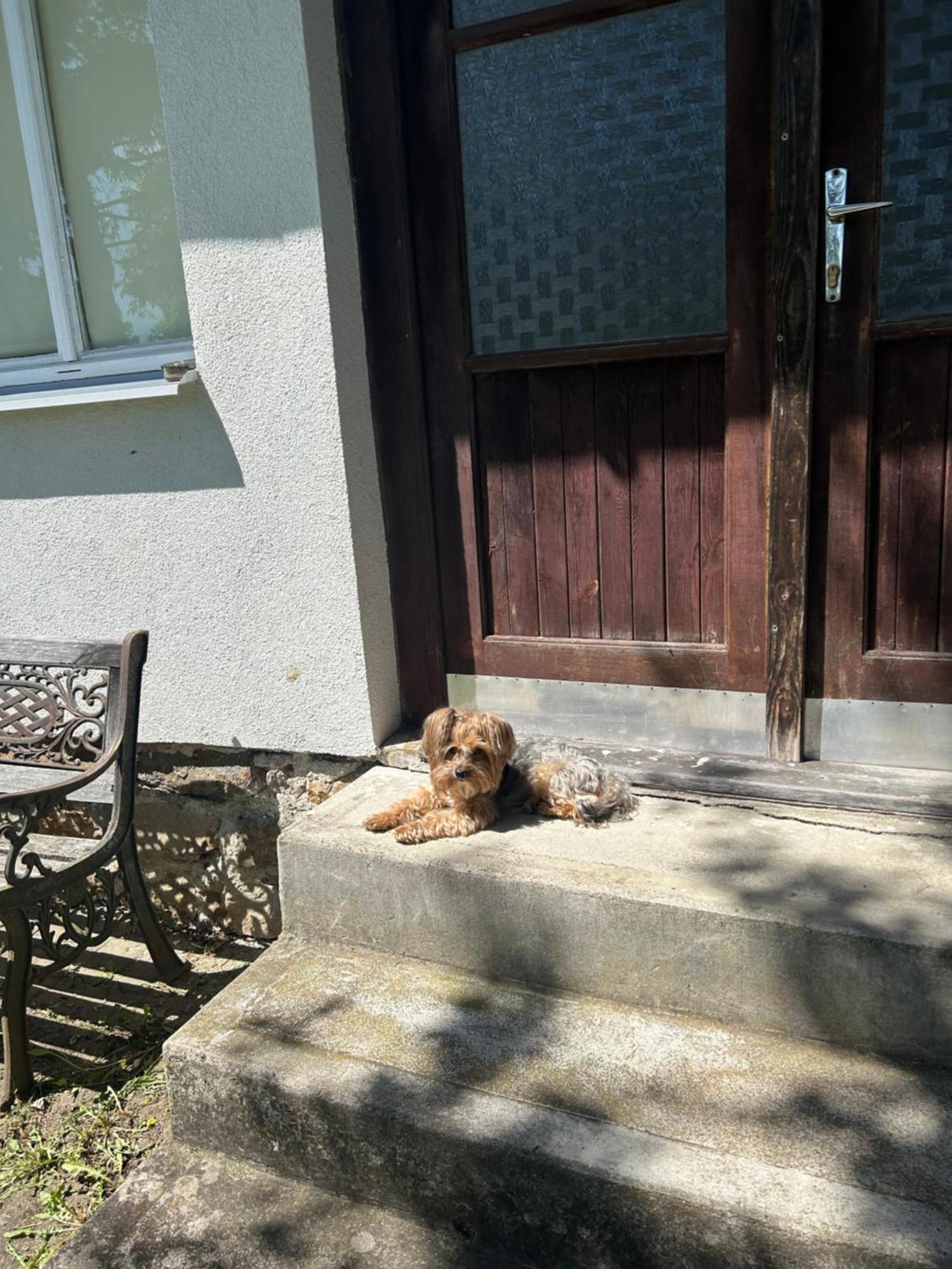 Prijemna Chaloupka Na Trebonsku Villa Chlum u Trebone Exterior foto